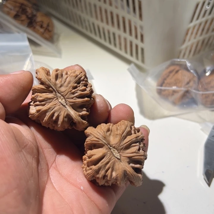 奥***！文玩核桃把件白狮子