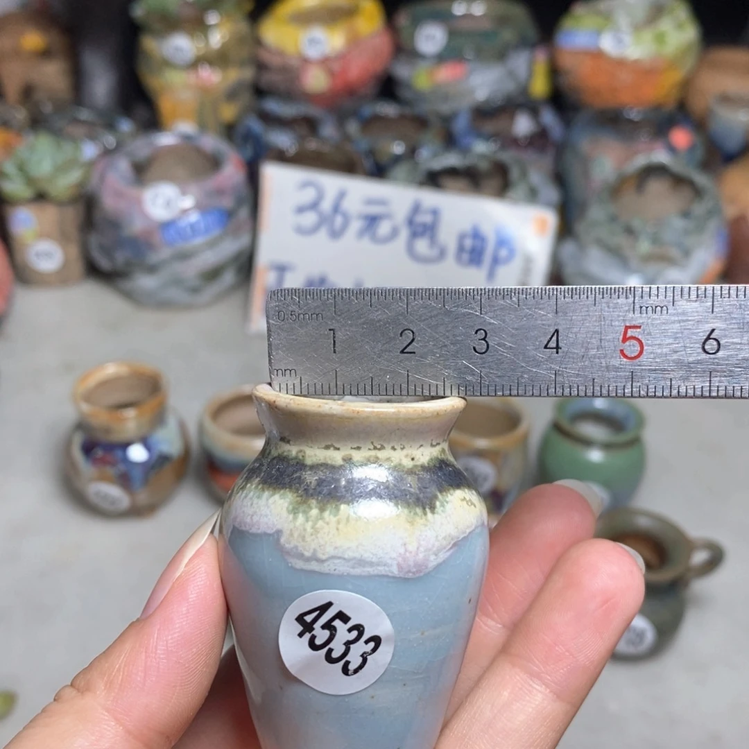 拍5送一个小礼物