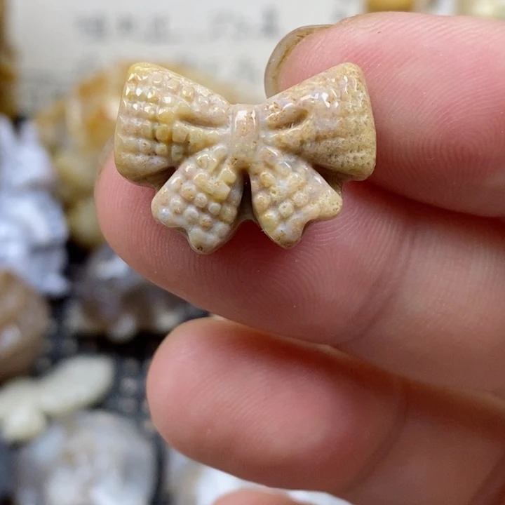 颈饰未镶嵌硅化珊瑚（珊瑚玉）小