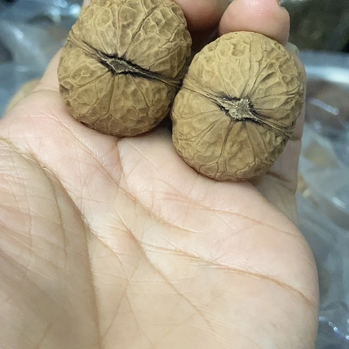 文玩核桃把件云南铁核桃基地99