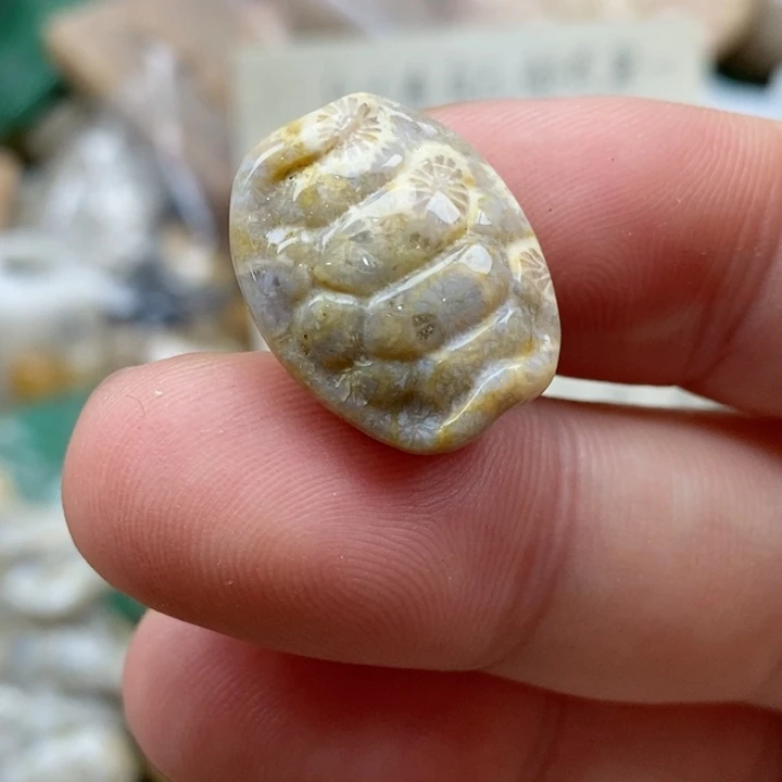 硅化珊瑚（珊瑚玉）未镶嵌颈饰黄*