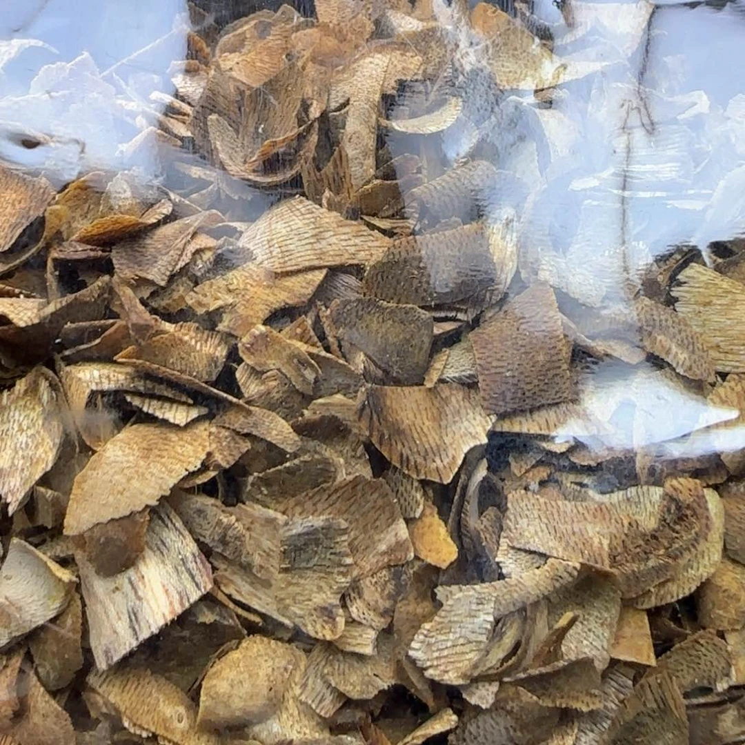 沉香碎屑沉香海南乌身白棋沉香切片多样性发20克