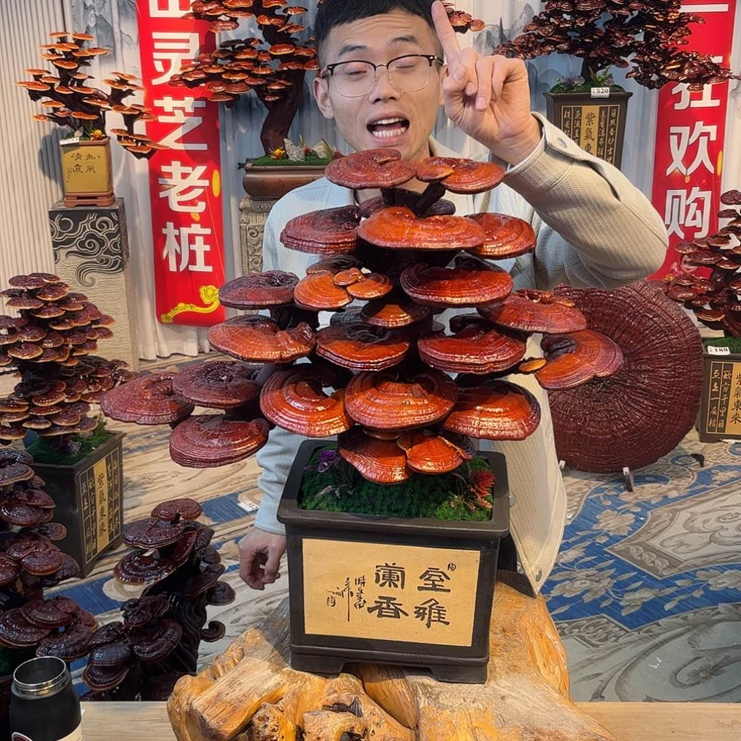 无花朵888888888888