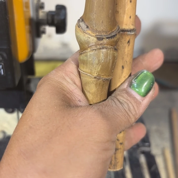 竹拽*猫实心竹竹竹竹竹竹竹竹竹