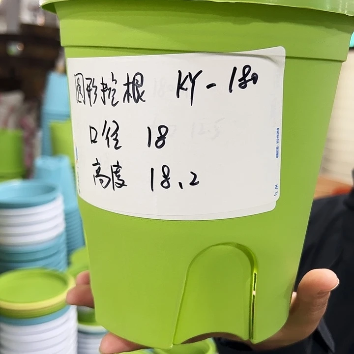 正品圆控根口18高18果绿无托8个