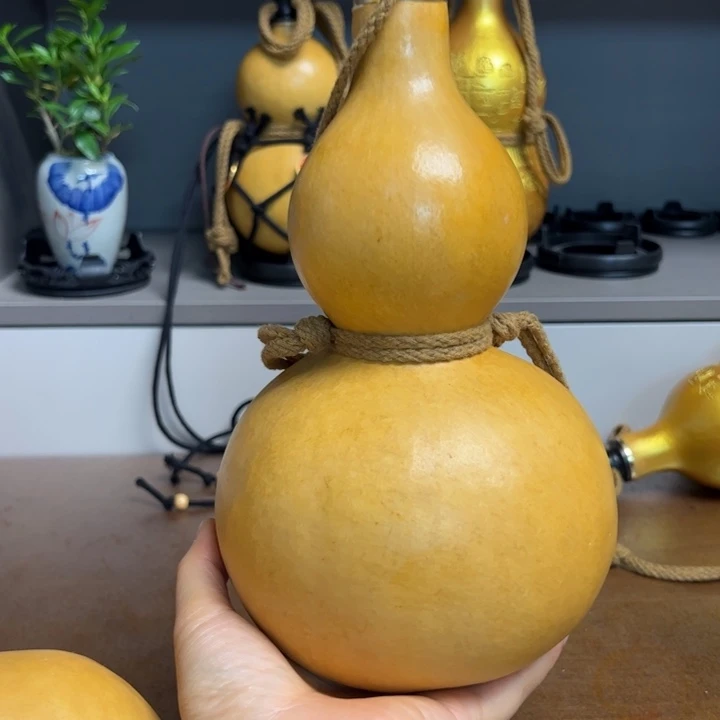 终于邮政邮政邮政邮政哟