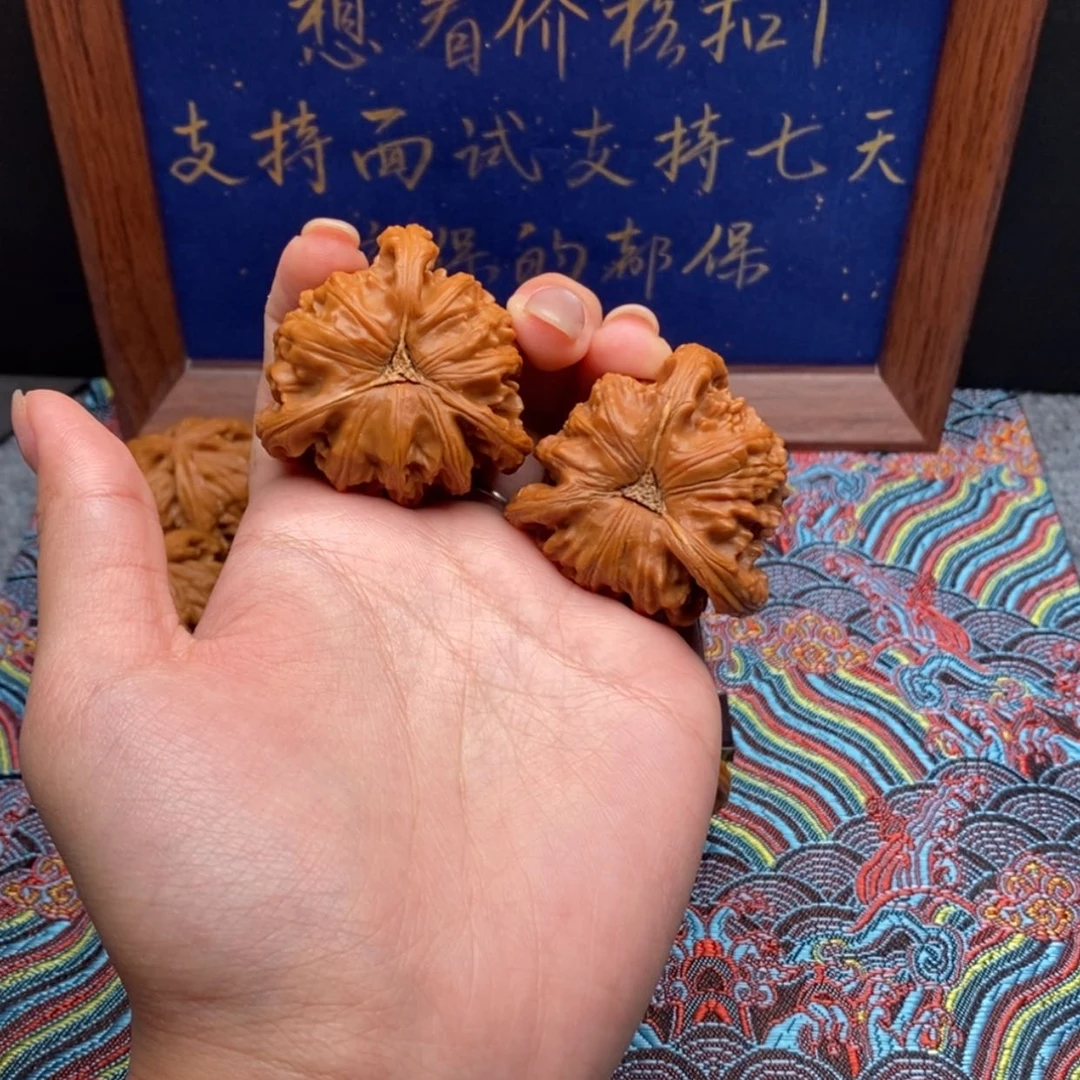 【闪购商品】忻****部白狮