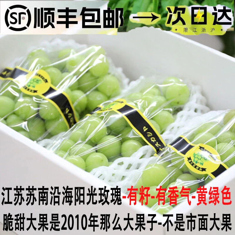 江苏沿海阳光玫瑰有籽黄绿色香气黄绿色葡萄大果孕妇水果顺丰包邮
