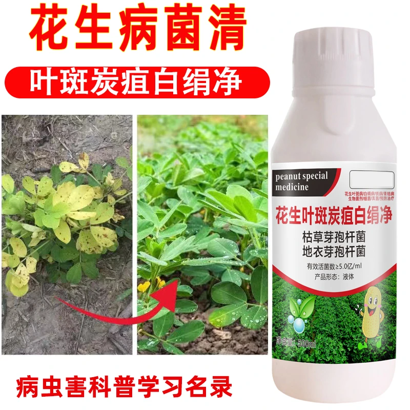 花生病正品花生死苗烂根叶斑枯萎根腐青枯白绢病毒锈病花生正品
