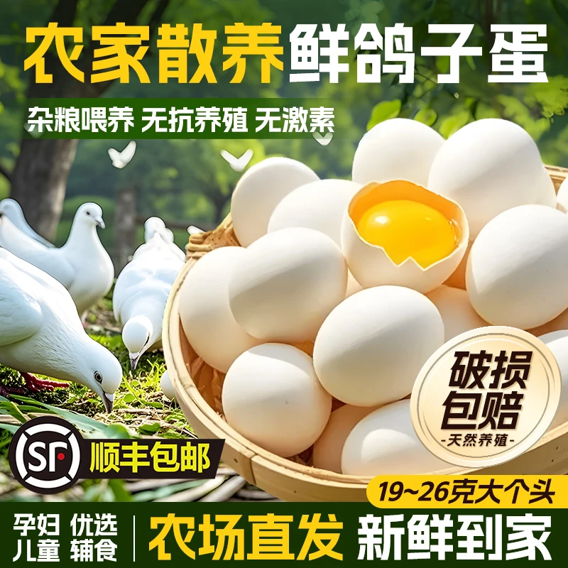 新鲜大个头鸽子蛋正品杂粮鸽蛋农家散养白鸽蛋孕妇宝宝辅食优选