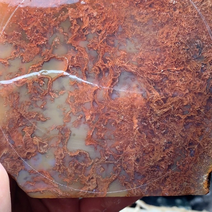 定制玛瑙金****舞定制玛瑙不退货