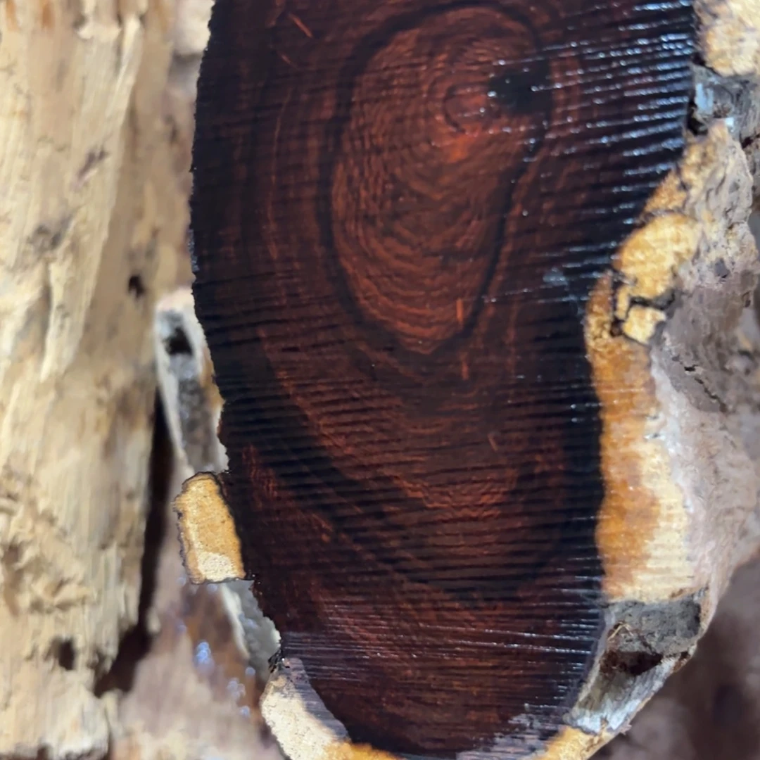 用***5黄花梨/降香黄檀手串/手链