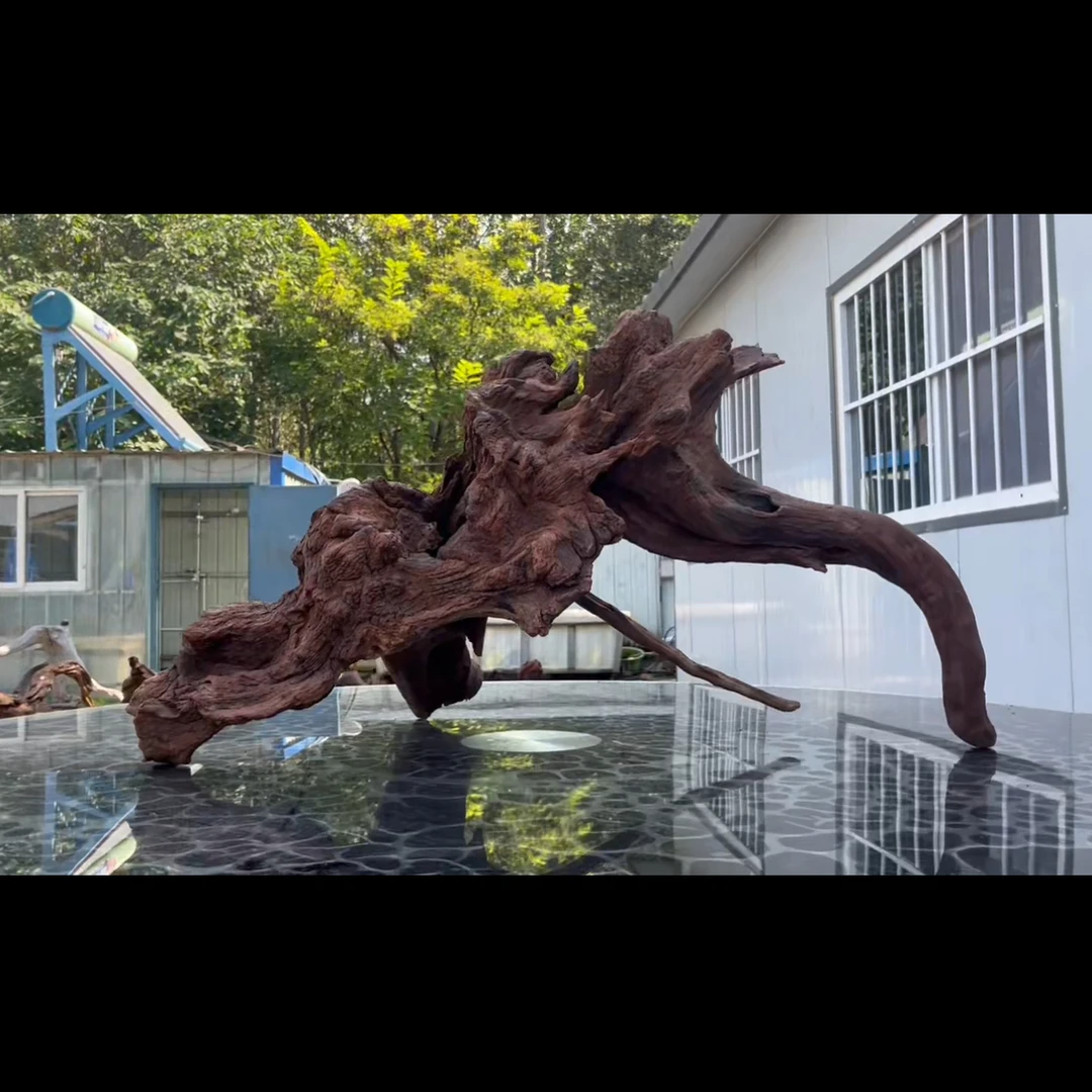 尺寸84×40×44  鱼缸造景沉木摆件，紫柚木，秒沉包煮，树桩沉木