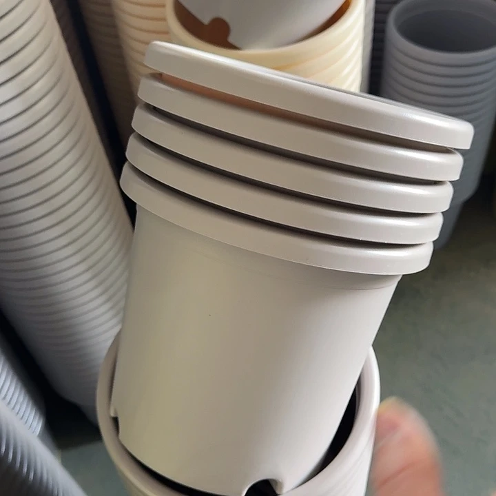 微瑕4#灰白8个无托