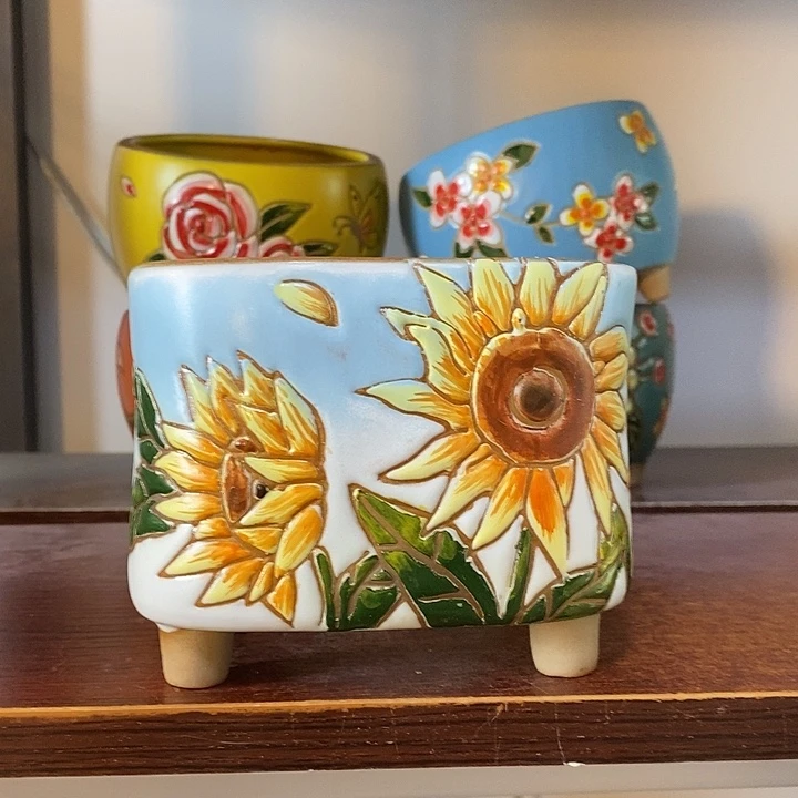 韩式多肉植物花盆