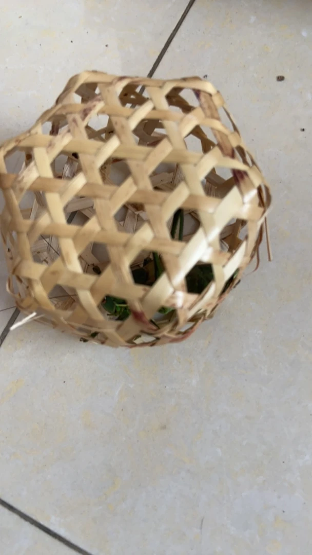 狼牙山，山青绿蝈蝈一只