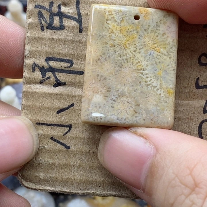 颈饰未镶嵌硅化珊瑚（珊瑚玉）心**光