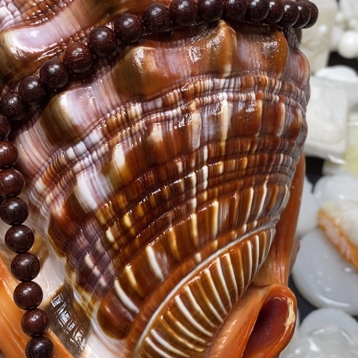 净***…香榧木花梨木，万宝螺原螺