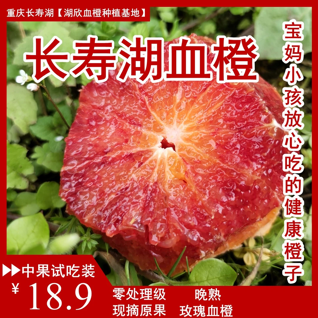 【重庆长寿湖晚熟玫瑰血橙】新鲜现摘应季水果|零处理级现摘原果