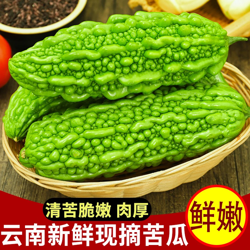 新鲜苦瓜 云南现摘农家自种蔬菜凉瓜当季新鲜现摘