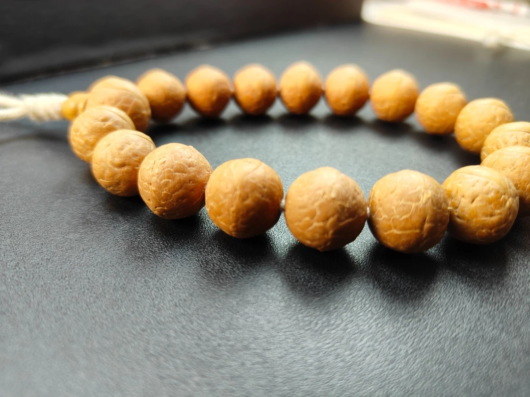 2025年新籽凤眼菩提14-15mm尺寸