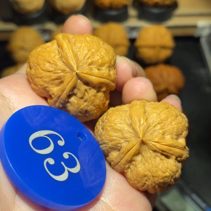 三棱34尺寸核桃。