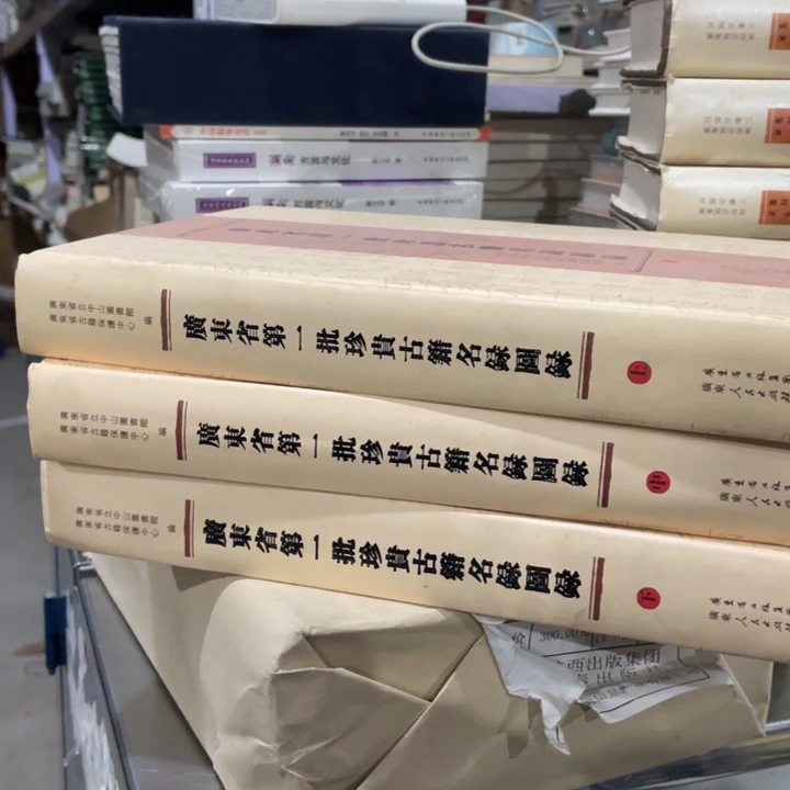 广东省第一批珍贵古迹名录图录精装