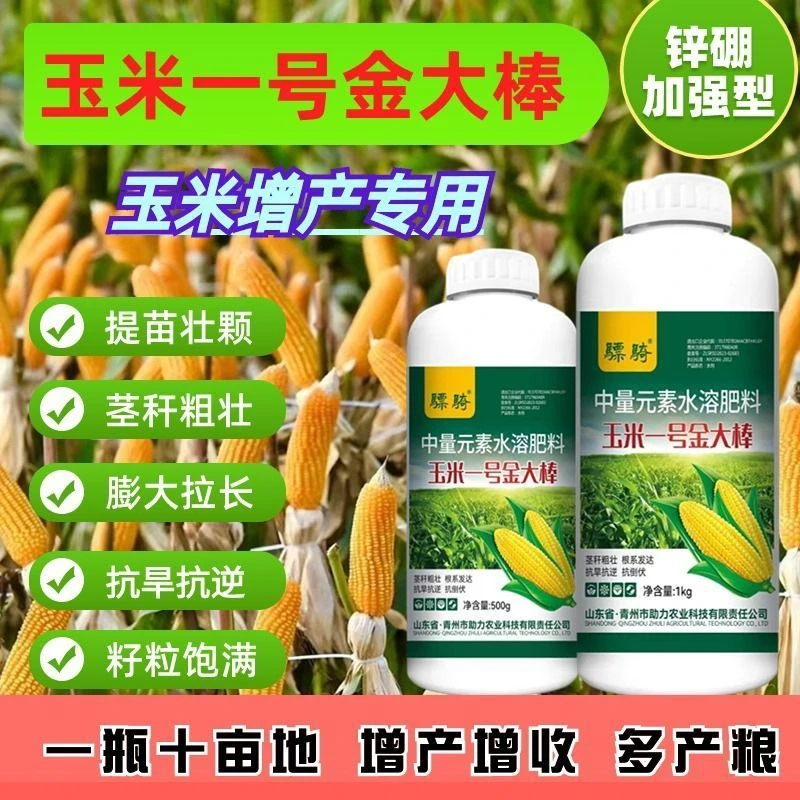 加锌玉米专用玉米一号金大棒促根壮苗早熟强株耐旱涝抗
