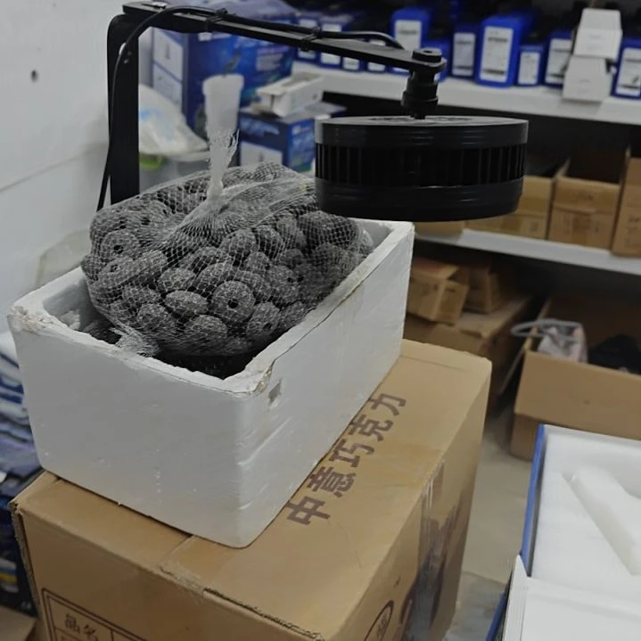 40w app坂本德垚灯