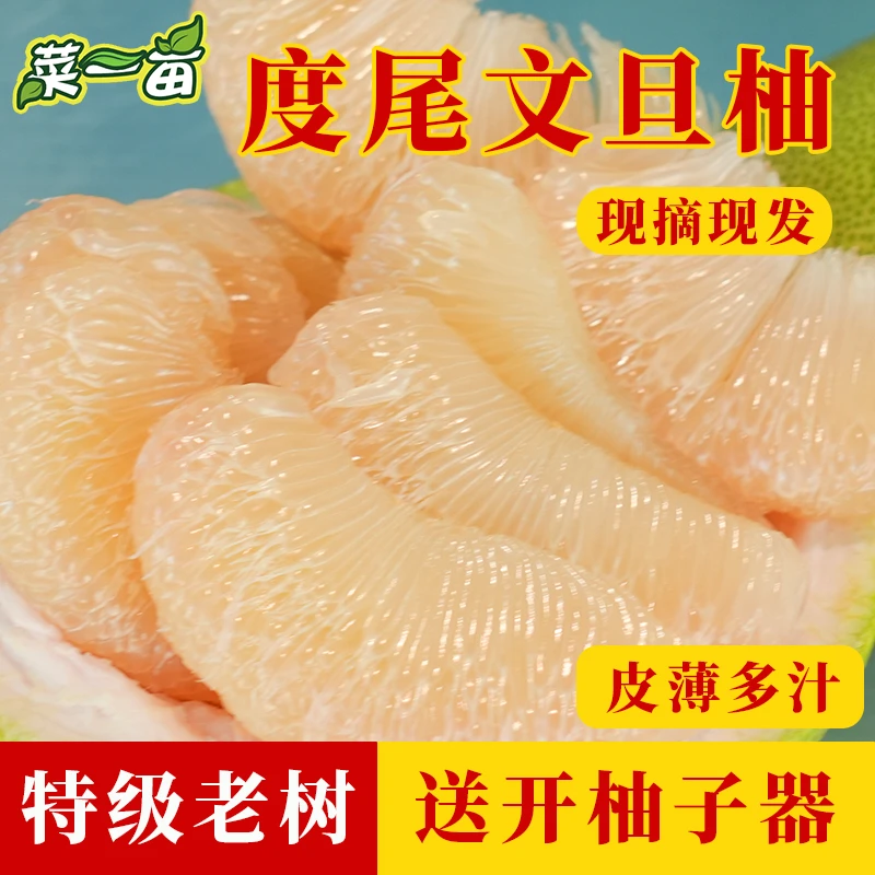 【菜一亩】福建仙游度尾老树红心文旦柚新鲜水果产地直发现摘礼盒装
