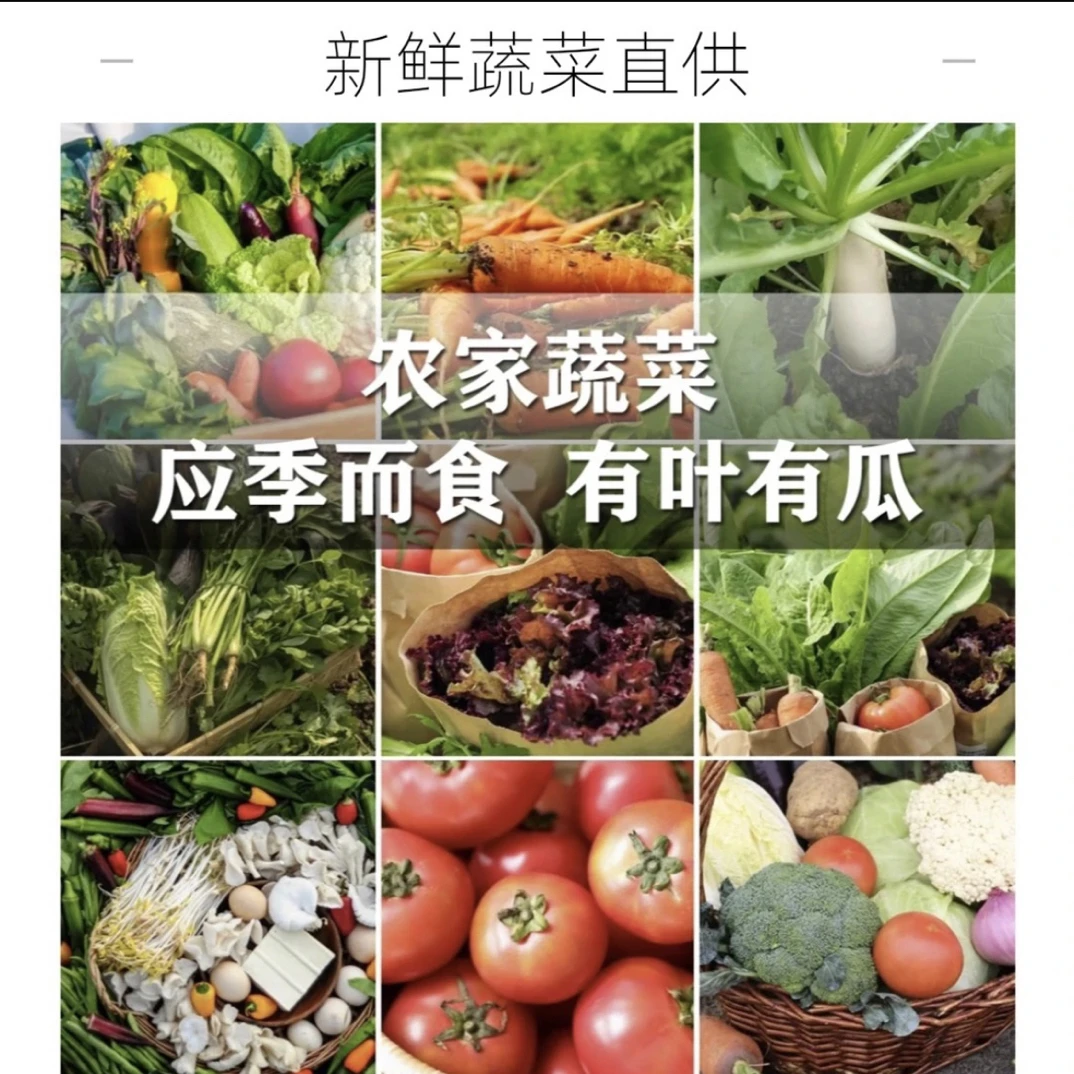 贵州农家自种蔬菜