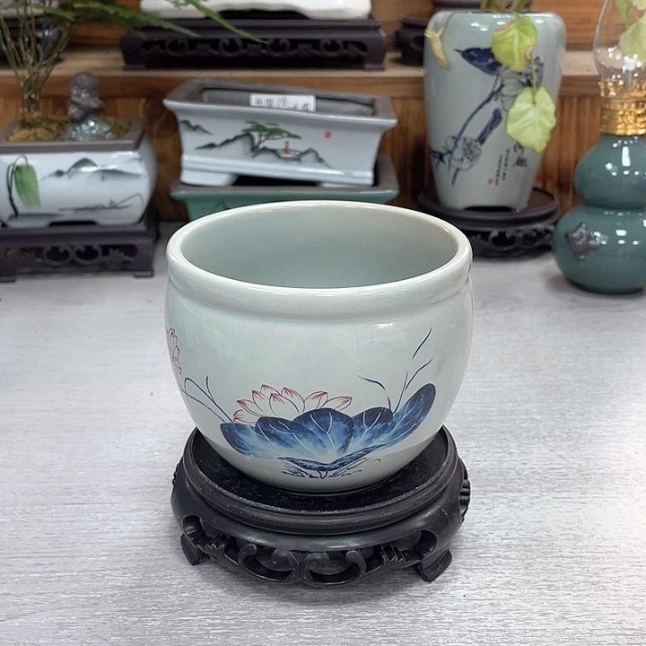 花盆花盆抢购福利