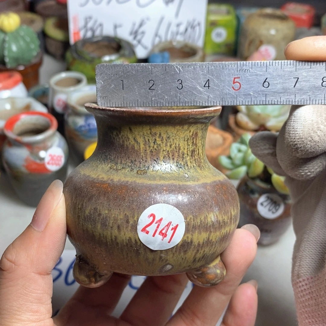 拍5送一个小礼物