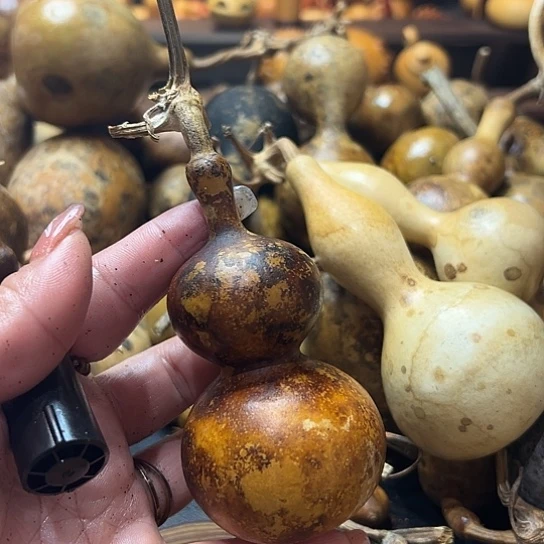 志*葫芦葫芦葫芦葫芦