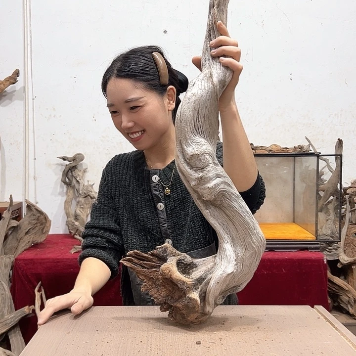 柏木愈**痕我们的生活也是