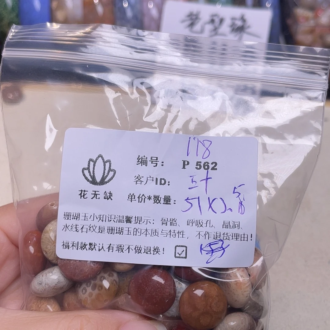 五***鱼未镶嵌手镯硅化玉