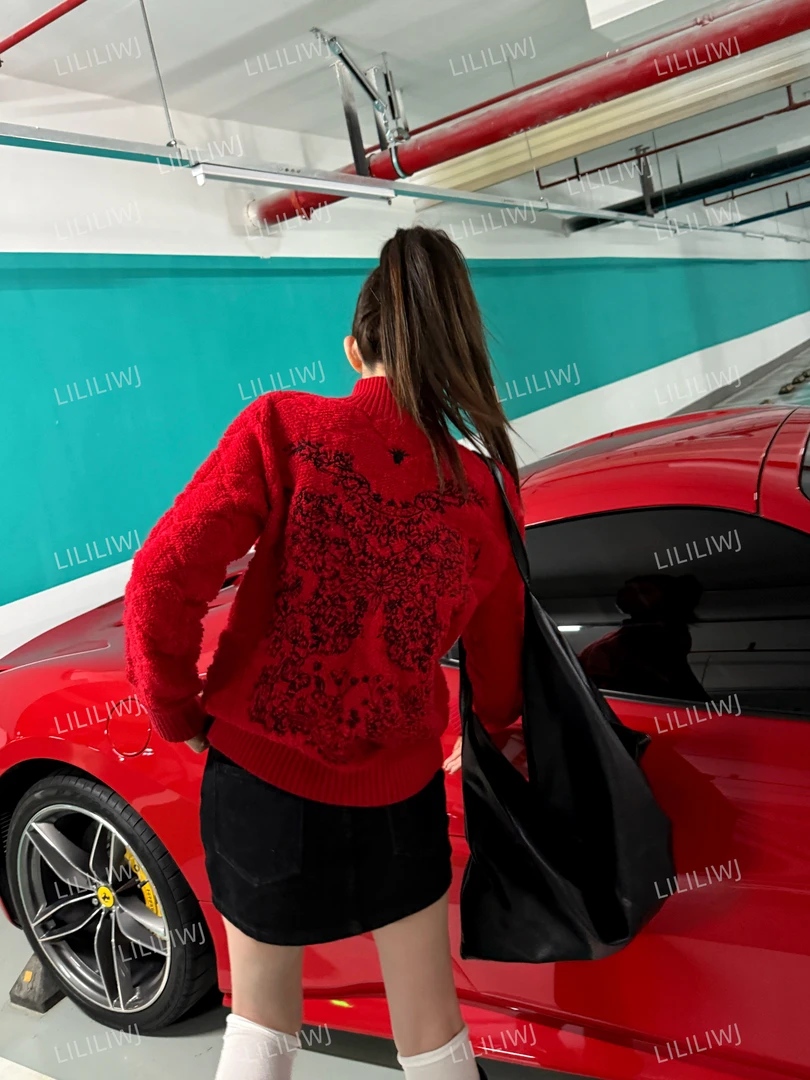 婉君【小蜜蜂毛衣】秋冬时尚休闲百搭潮流针织毛针衫LWJ24D4M2484