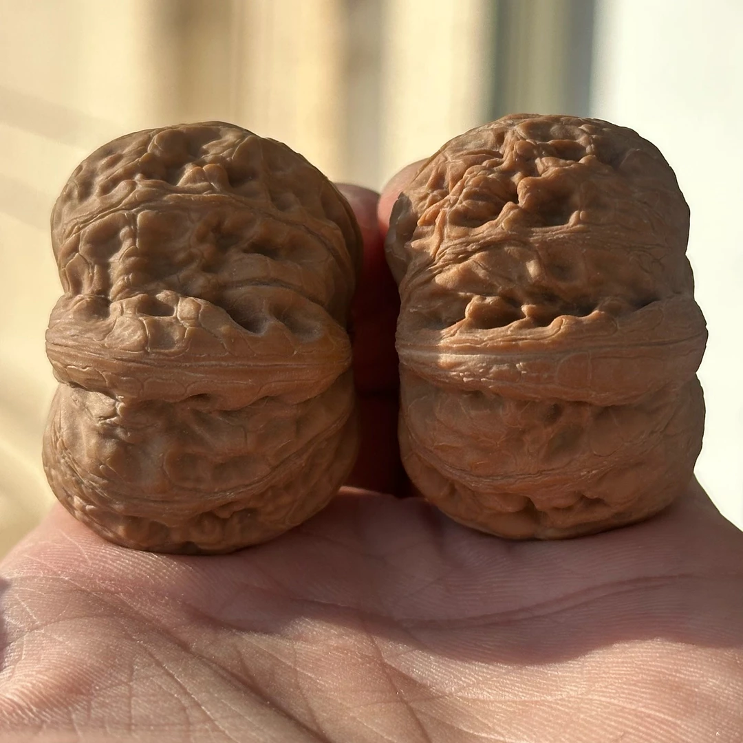 麻核桃把件 海豚头平谷元宝