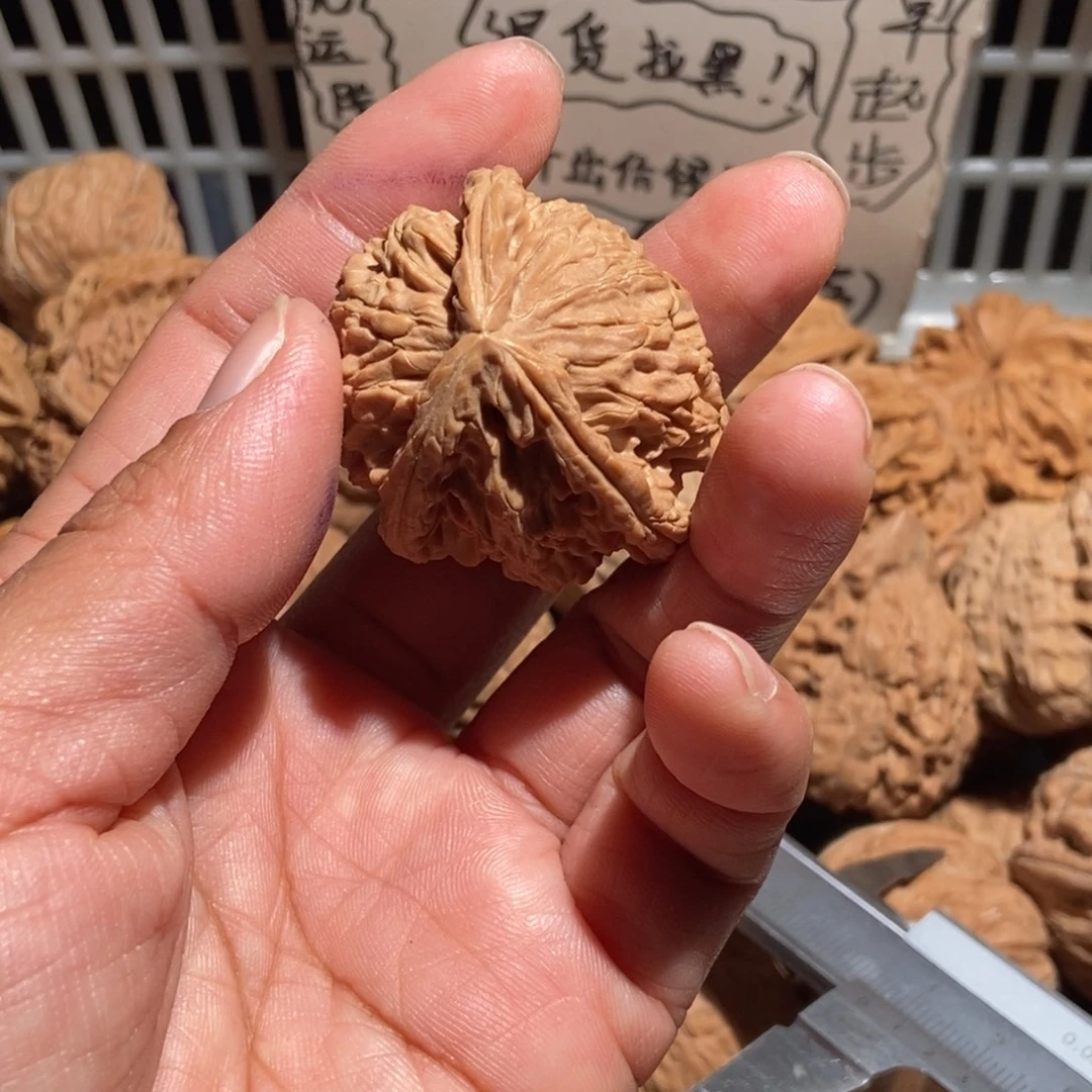 C***)核桃白狮子三棱尺寸40全品