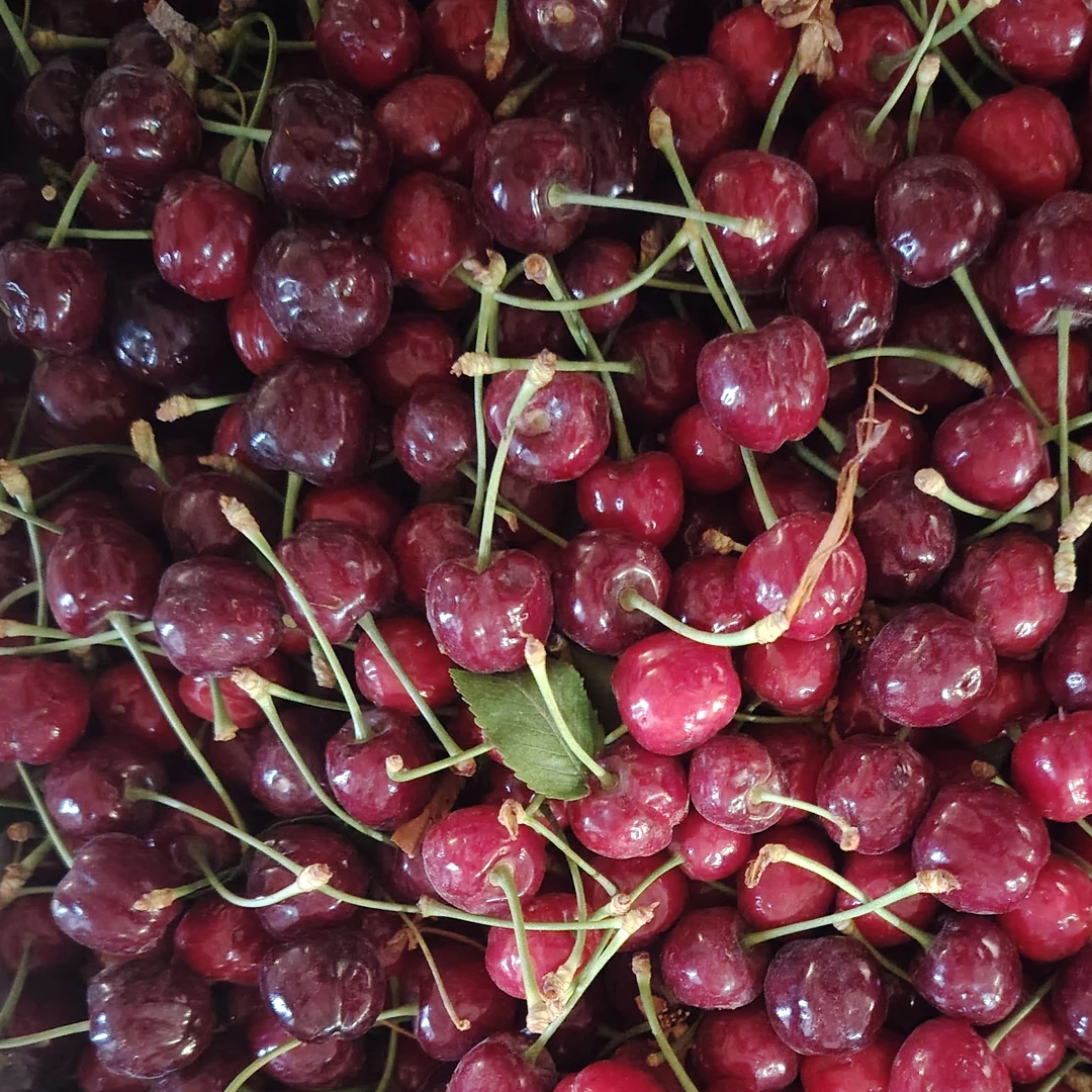 قەشقەر يەرلىك گىلاس 吐樱桃250克Ll甜心