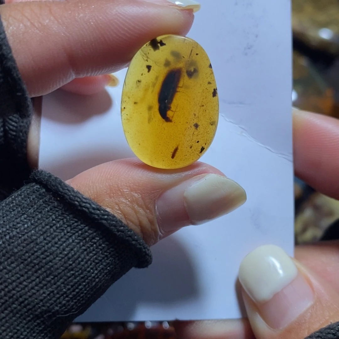 琥珀未镶嵌裸石珀