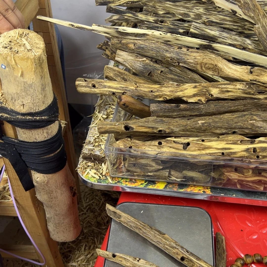 线香奇楠虫漏香28克