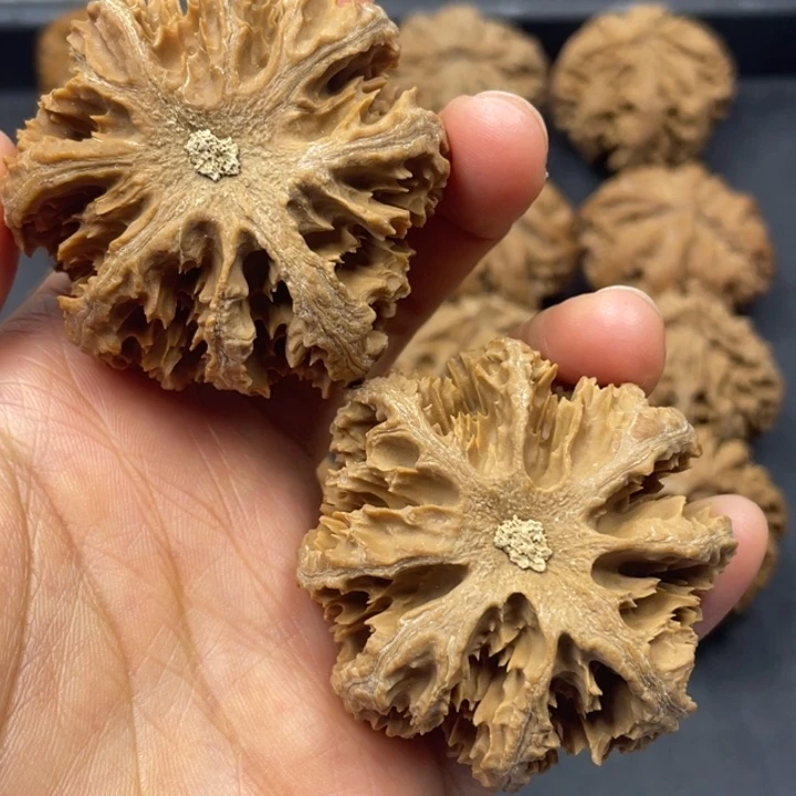 静***吊坠文玩核桃突突突突突突