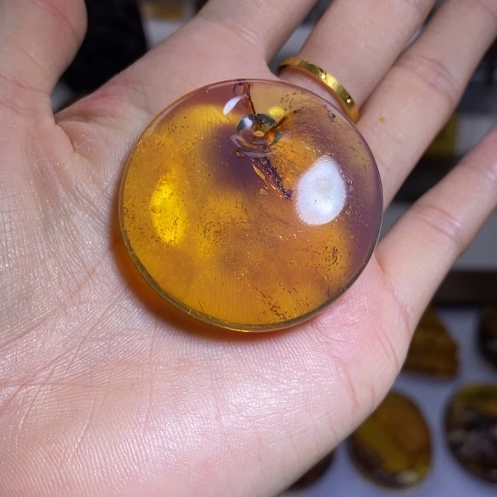 未镶嵌琥珀琥珀画