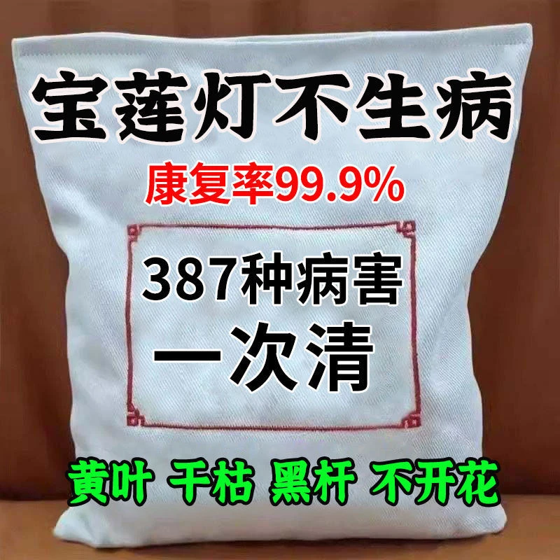 宝莲灯病全清宝莲灯黑斑叶斑宝莲灯微生物菌剂黄叶掉花苞专用菌剂