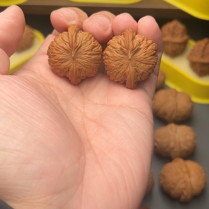 34尺精配头货山地磨