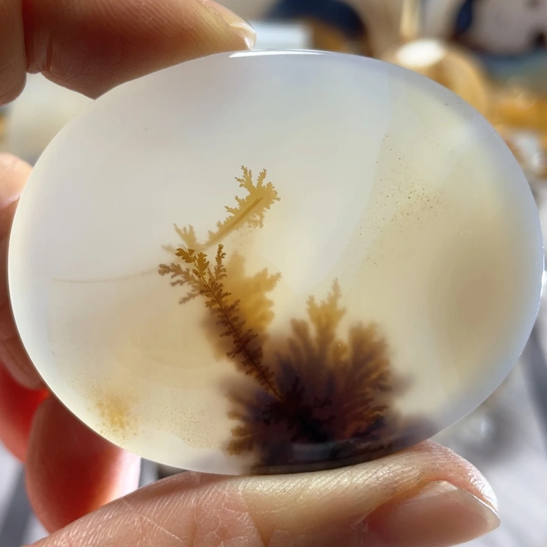 【闪购商品】玛瑙/玉髓颈饰合金