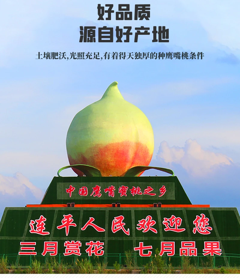 【中果】【顺丰发货】正宗广东连平上坪鹰嘴蜜桃新鲜现摘脆甜爽口水果