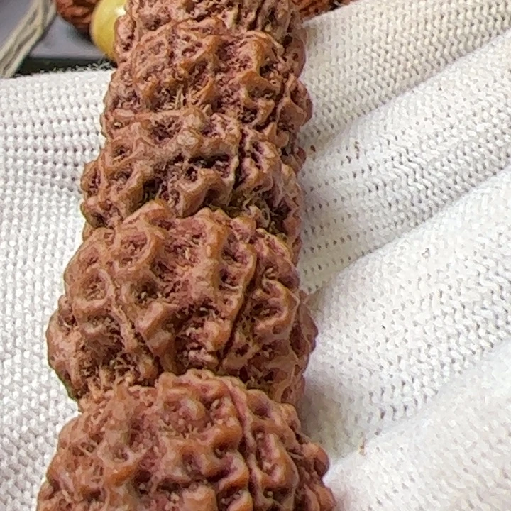 金刚菩提手串19蜂窝双龙