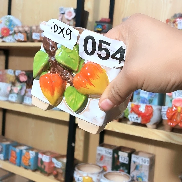 多肉花盆满15包邮